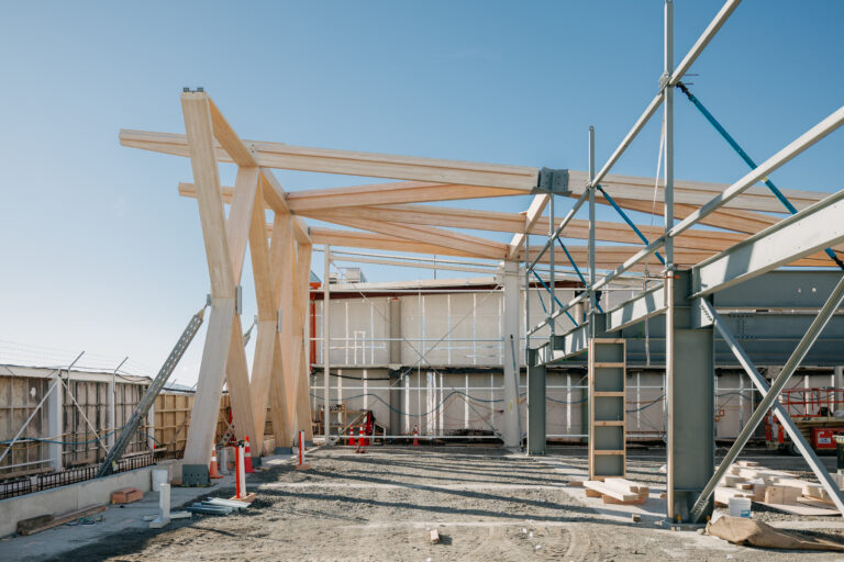 Timber beams of the new terminal